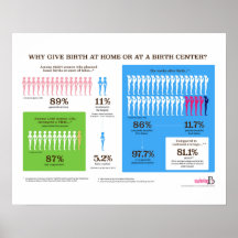 Warum Zuhause Birth Infographic 20" x 16" Poster
