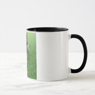 Warwick Tasse