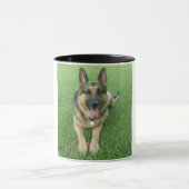 Warwick Tasse (Zentrum)