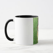 Warwick Tasse (Links)