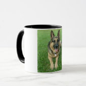 Warwick Tasse (Vorderseite Links)