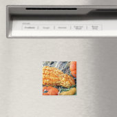 Warzengurke Magnet (In Situ (Geschirrspüler))