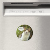 Was auch immer Magnet 01 (In Situ (Geschirrspüler))