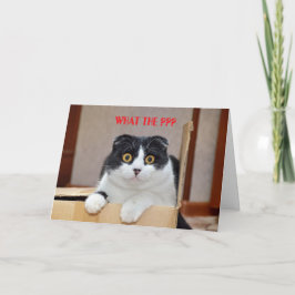 WAS?? BELATED BIRTHDAY CARD KARTE