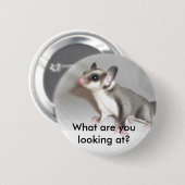 Was betrachten Sie? Button (Vorne & Hinten)
