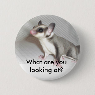 Was betrachten Sie? Button