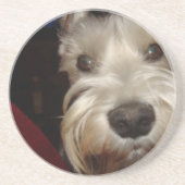 Was betrachten SIE? Getränkeuntersetzer (Vorne)