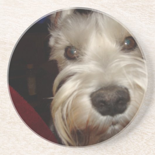 Was betrachten SIE? Getränkeuntersetzer (Vorne)