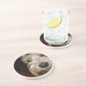 Was betrachten SIE? Getränkeuntersetzer (Seite)