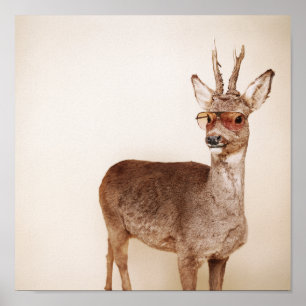 Was betrachten Sie? Poster