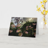 Was blüht in der Schattenkarte? Karte (Gelbe Blume)