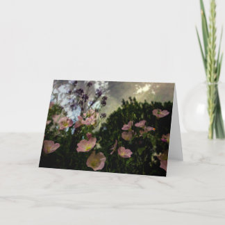 Was blüht in der Schattenkarte? Karte