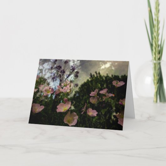 Was blüht in der Schattenkarte? Karte (Vorderseite)