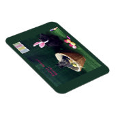 Was Bunny Magnet (Rechte Seite)