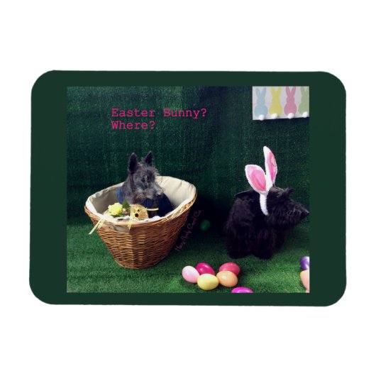 Was Bunny Magnet (Horizontal)