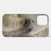 WAS? Case-Mate iPhone HÜLLE (Rückseite (Horizontal))