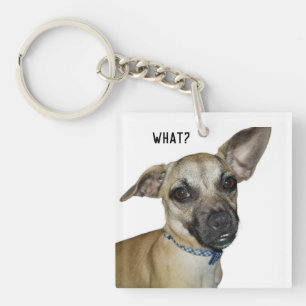 "Was?" Chihuahua und Mops Rasse Welpenhund Schlüsselanhänger