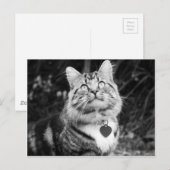 Was da oben ist postkarte (Vorne/Hinten)