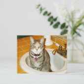 Was denkst du, was ich gewollt habe? postkarte (Stehend Vorderseite)