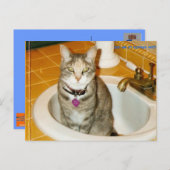 Was denkst du, was ich gewollt habe? postkarte (Vorne/Hinten)