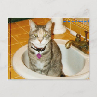 Was denkst du, was ich gewollt habe? postkarte