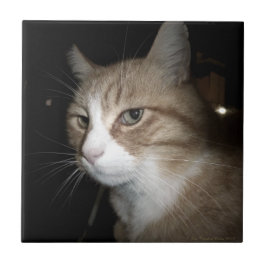 Was denkt er? fliese