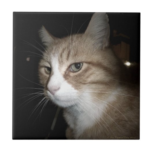 Was denkt er? fliese (Vorderseite)