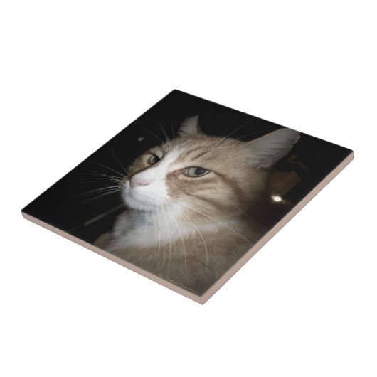 Was denkt er? fliese (Seite)