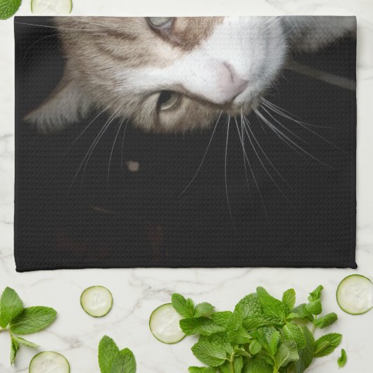 Was denkt er? geschirrtuch (Gefaltet)