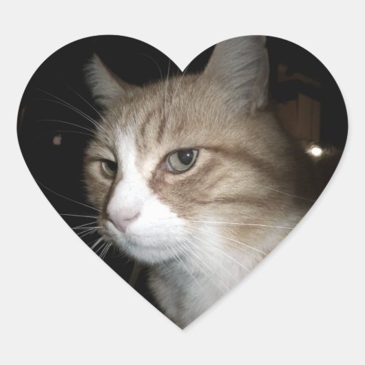 Was denkt er? Herz-Aufkleber (Vorderseite)