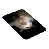 Was denkt er? magnet (Rechte Seite)