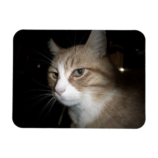 Was denkt er? magnet (Horizontal)