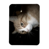 Was denkt er? magnet (Vertikal)