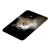 Was denkt er? magnet (Linke Seite)