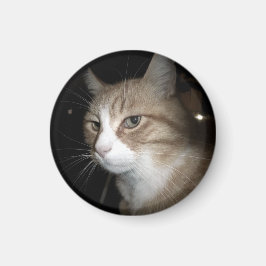 Was denkt er? magnet