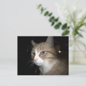 Was denkt er? postkarte (Stehend Vorderseite)