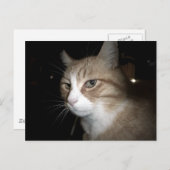 Was denkt er? postkarte (Vorne/Hinten)