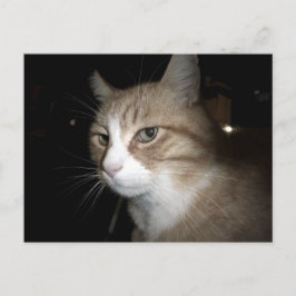 Was denkt er? postkarte