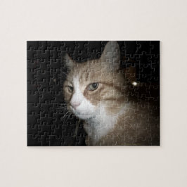 Was denkt er? puzzle