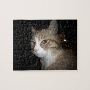 Was denkt er? puzzle
