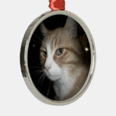 Was denkt er? silbernes ornament (Rechts)