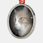 Was denkt er? silbernes ornament (Links)