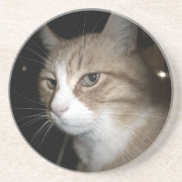 Was denkt er? untersetzer