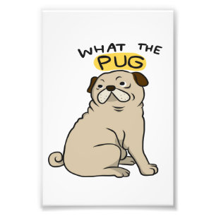 Was der Mops Niedliche Fett-Mops Fotodruck