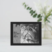 Was der Mops Postkarte (Stehend Vorderseite)