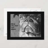 Was der Mops Postkarte (Vorne/Hinten)