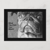 Was der Mops Postkarte (Vorderseite)