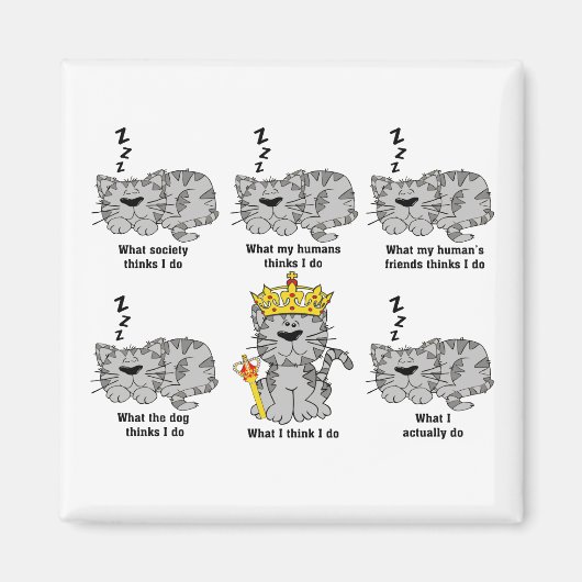 Was die Katze für lustig hält Magnet (Vorne)