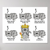 Was die Katze für lustig hält Poster (Vorne)