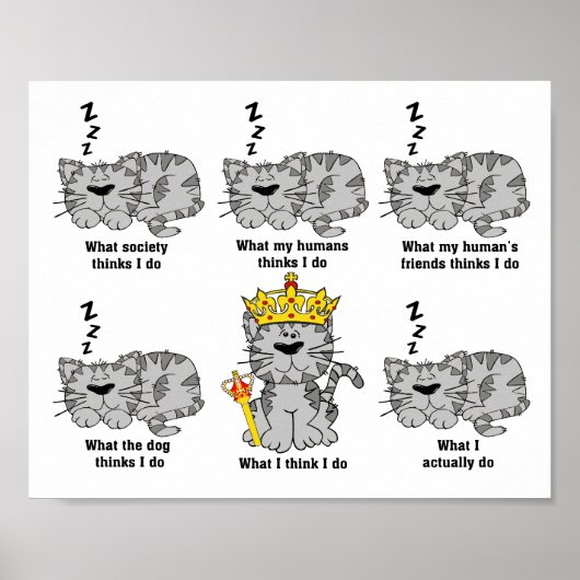 Was die Katze für lustig hält Poster (Vorne)